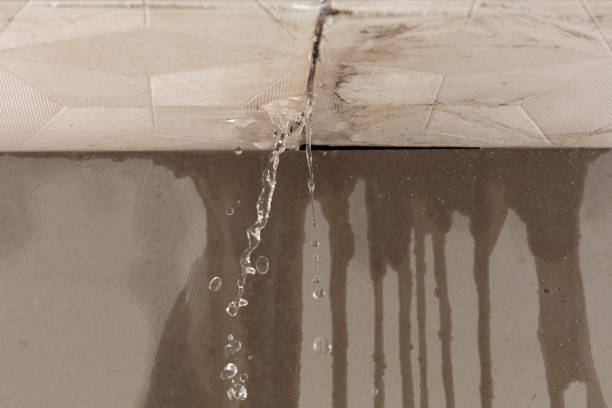 Professional Structural Drying technician working in Freeport, OH